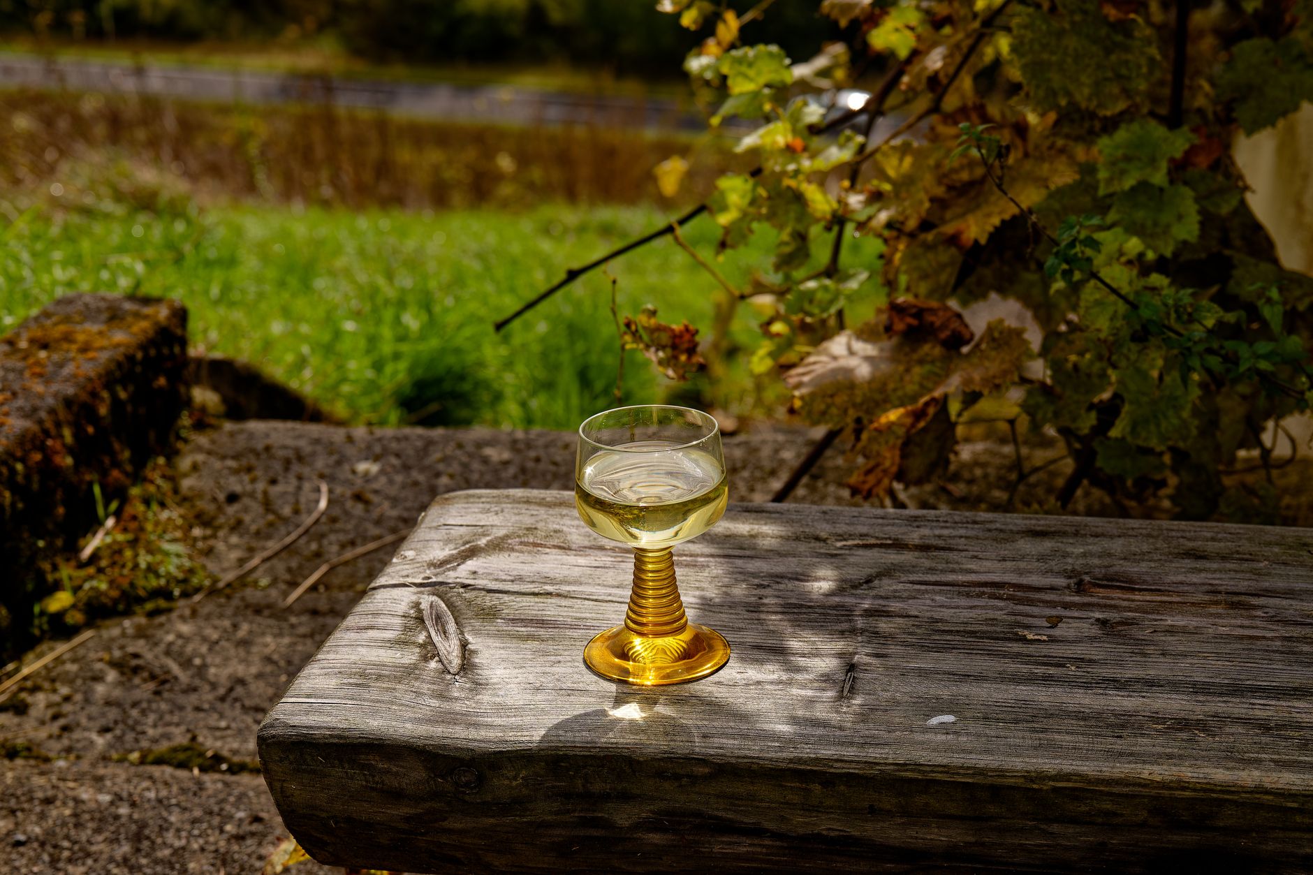 Local artisanal vineyard tasting table